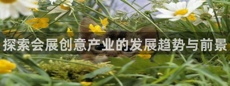 苹果电脑可以下载博易大师吗