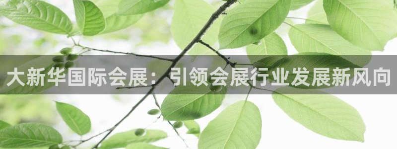 电脑怎么下载果考网：大新华国际会展：引领会展行业发展新风向