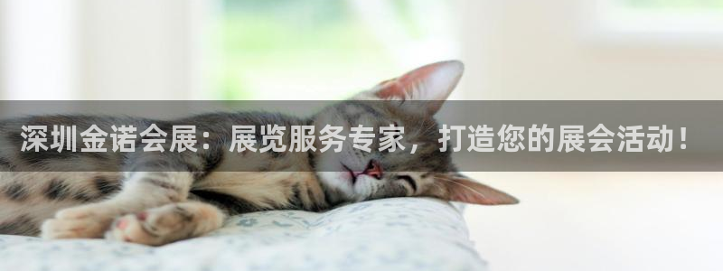 果博客服电话：深圳金诺会展：展览服务专家