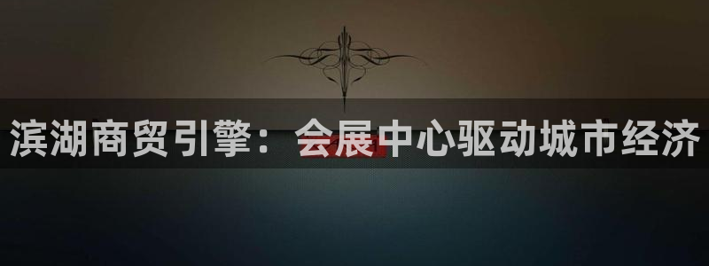 果博平台赖不赖：滨湖商贸引擎：会展中心驱动城市经济