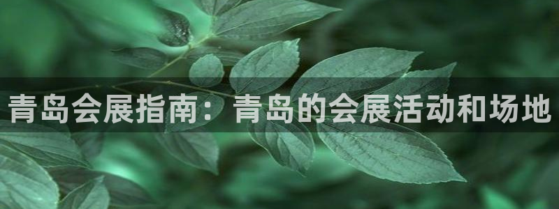 果博注册客服电话号码是多少：青岛会展指南：青岛的会展活动和场地