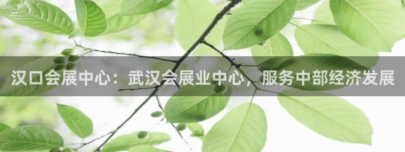 果博平台真实吗安全吗可信吗安全吗：汉口会展中心：武汉会展业中心，服务中部经济发展