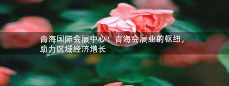 果搏代理：青海国际会展中心：青海会展业的枢纽，
助力区域经济增长