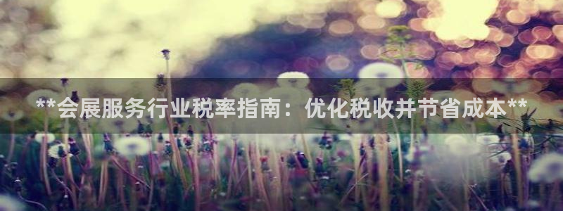 果博平台怎么下载?：**会展服务行业税率指南：优化税收并节省成本**