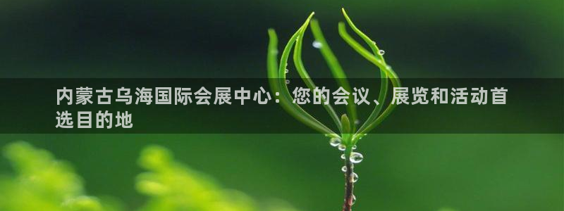 果博注册：内蒙古乌海国际会展中心：您的会议、展览和活动首
选目的地