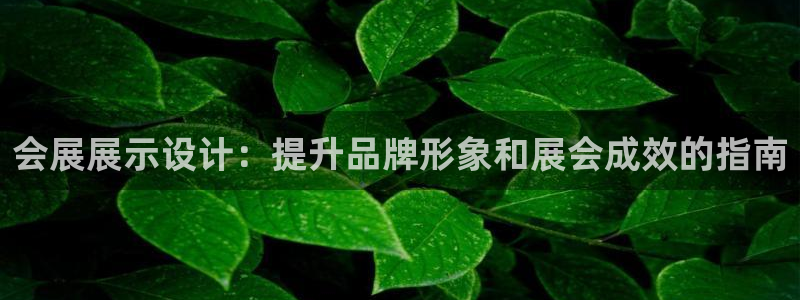 果博官网客服电话号码是多少：会展展示设计：提升品牌形象和展会成效的指南