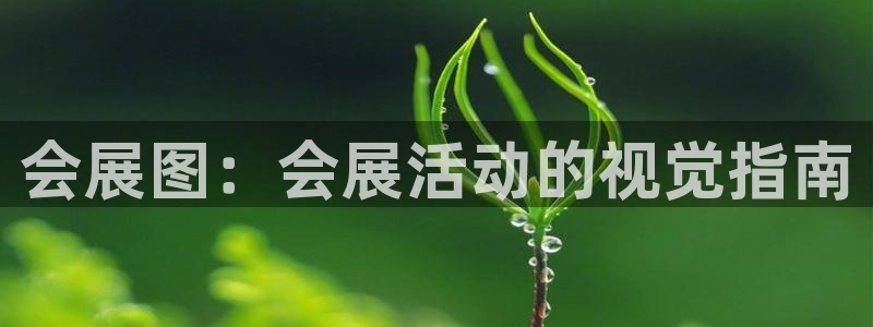 果博怎么注册账号和密码：会展图：会展活动的视觉指南
