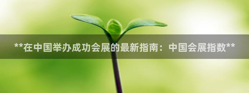 果博公司客服微信：**在中国举办成功会展的最新指南：中国会展指数**