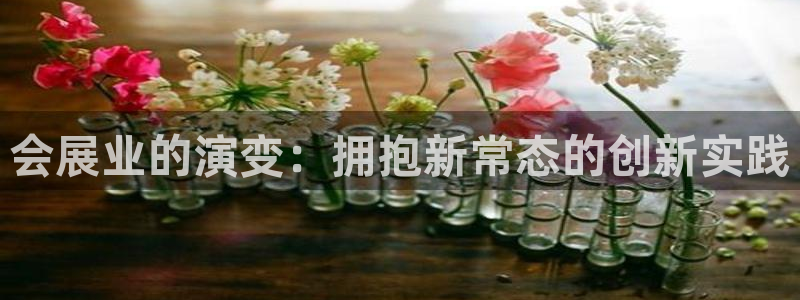 果博平台苹果电脑怎么下载：会展业的演变：拥抱新常态的创新实践
