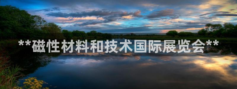 果博公司游戏网址：**磁性材料和技术国际展览会**