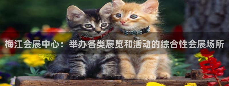 果博注册会员：梅江会展中心：举办各类展览