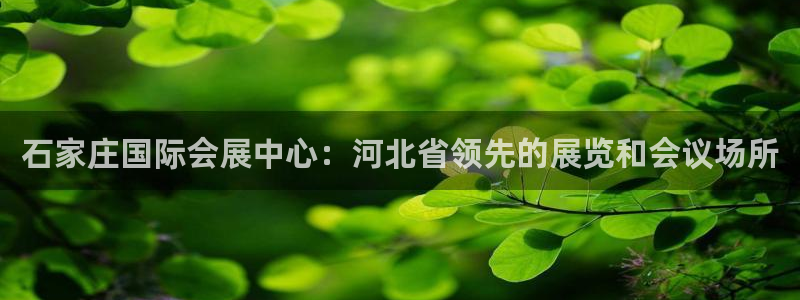 果博官方：石家庄国际会展中心：河北省领先的展览和会议场所