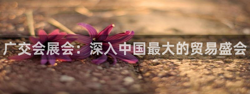 果博注册充值多少钱：广交会展会：深入中国最大的贸易盛会