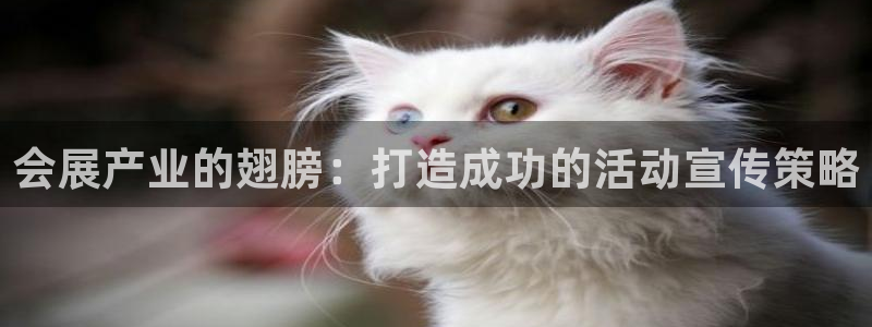 果博平台怎么下载?：会展产业的翅膀：打造成功的活动宣传策略