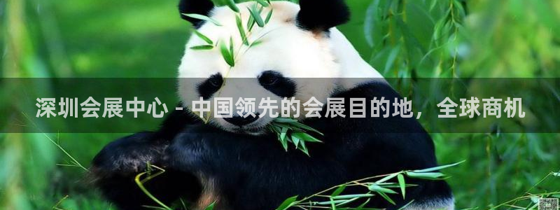 果博平台苹果电脑怎么下载：深圳会展中心 - 中国领先的会展目的地，全球商机