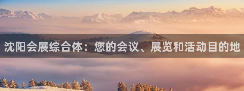 果博管理网：沈阳会展综合体：您的会议、展览和活动目的地