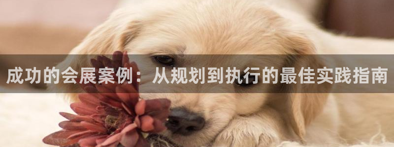 果博集团：成功的会展案例：从规划到执行的最佳实践指南