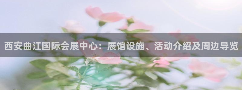 果博平台真实吗安全吗是真的吗