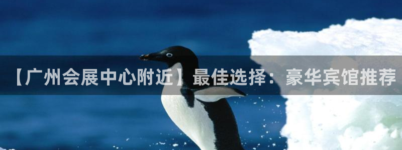果博注册充值多少钱：【广州会展中心附近】最佳选择：豪华宾馆推荐
