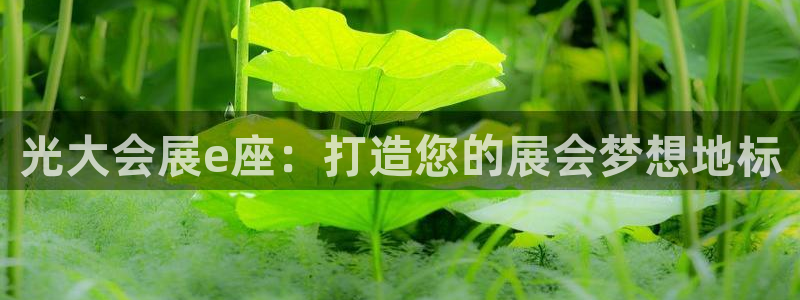 果博公司客服怎么样