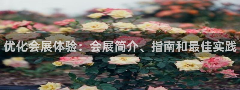 果博服务电话：优化会展体验：会展简介、指南和最佳实践