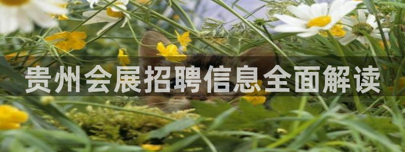 果博官方：贵州会展招聘信息全面解读