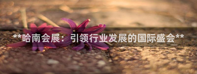 果博公司客服联系方式：**哈南会展：引领行业发展的国际盛会**