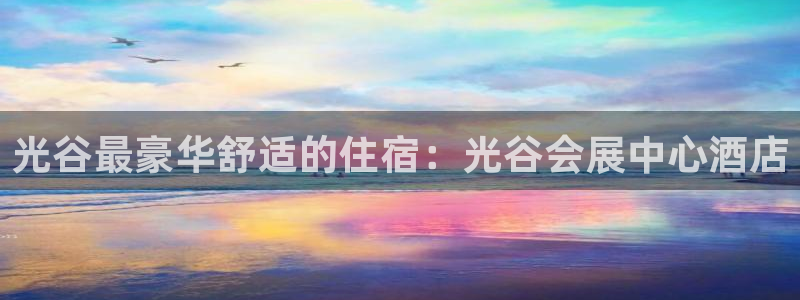 果博平台真实吗安全吗可靠吗：光谷最豪华舒适的住宿：光谷会展中心酒店