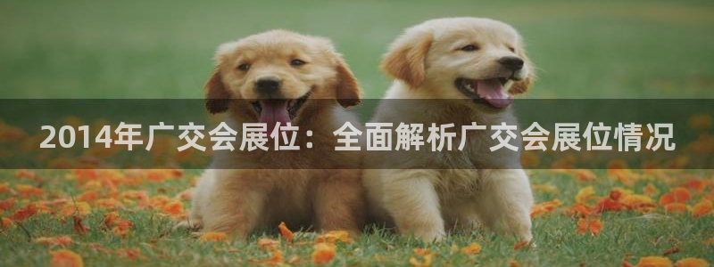 果博账号注册：2014年广交会展位：全面