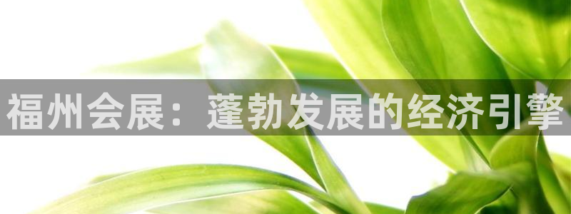 果博公司客服：福州会展：蓬勃发展的经济引擎