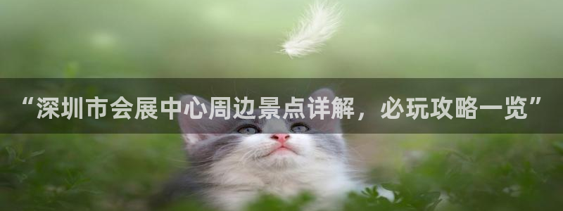 果博代理怎么注册