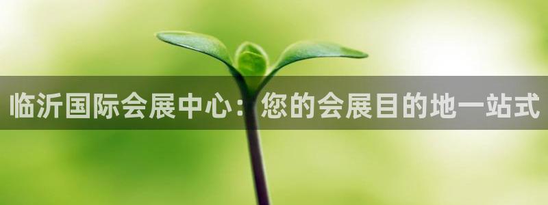 果博公司会员注册账号：临沂国际会展中心：您的会展目的地一站式