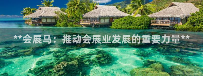 果博官网：**会展马：推动会展业发展的重要力量**
