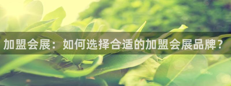 果博旗舰厅：加盟会展：如何选择合适的加盟会展品牌？