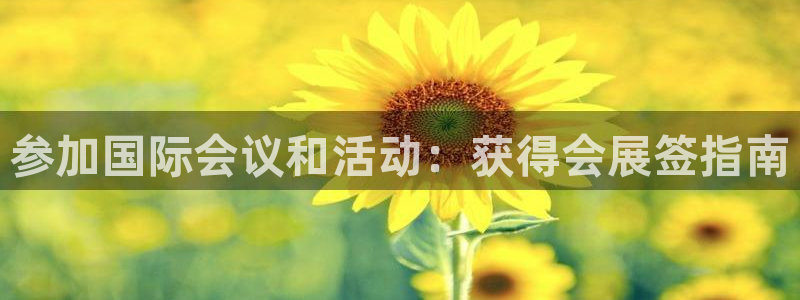 果博上分电话