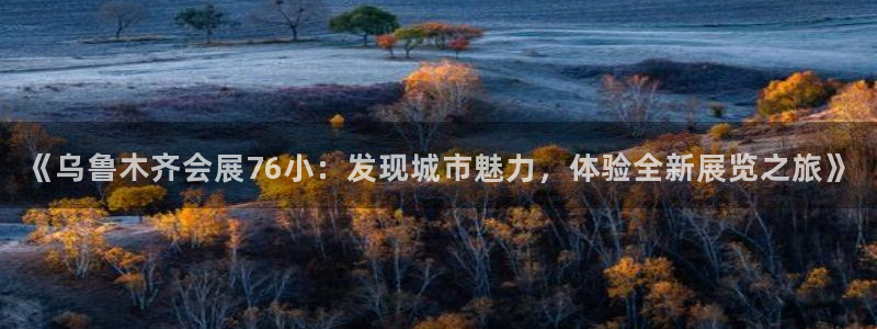 电脑怎么下载果考网：《乌鲁木齐会展76小：发现城市魅力，体验全新展览之旅》