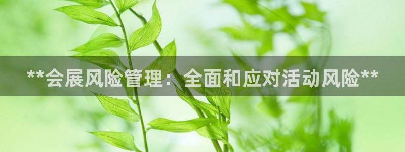 果博公司在线客服：**会展风险管理：全面