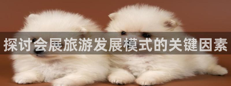 果博真人：探讨会展旅游发展模式的关键因素