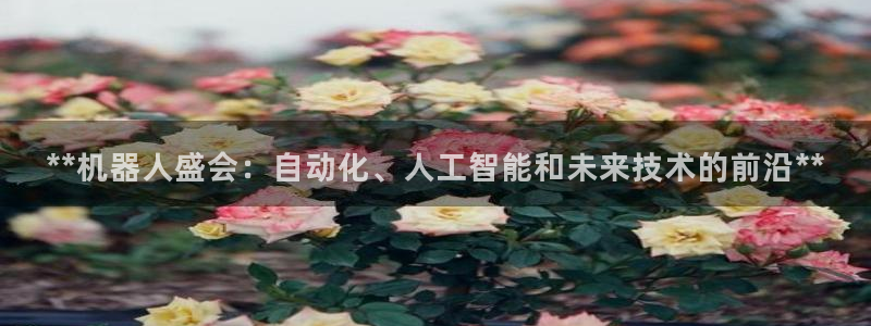 果博公司客服微信：**机器人盛会：自动化