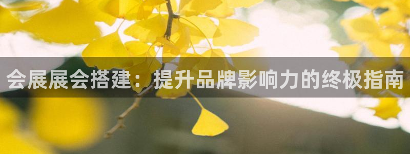 果博公司直属会员开户：会展展会搭建：提升