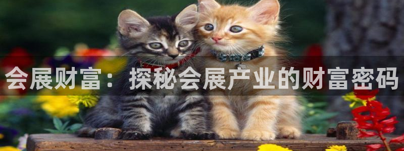 果博客服电话哪里找啊：会展财富：探秘会展产业的财富密码