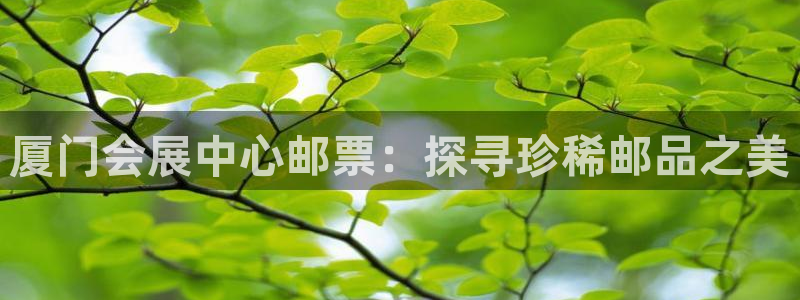果博公司电话：厦门会展中心邮票：探寻珍稀邮品之美