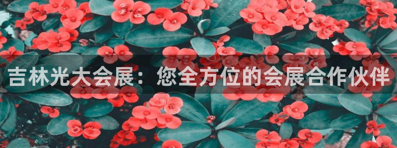 果博怎么注册账号和密码：吉林光大会展：您全方位的会展合作伙伴