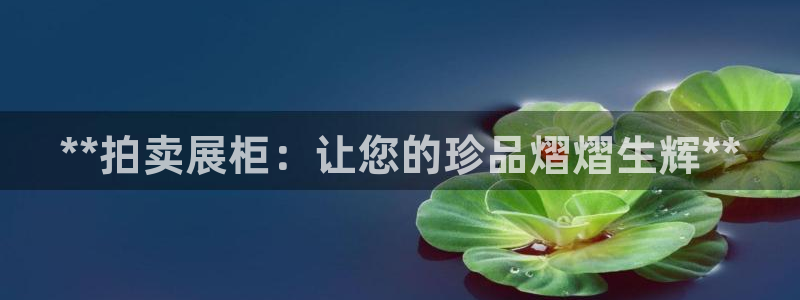 果博公司客服微信：**拍卖展柜：让您的珍品熠熠生辉**