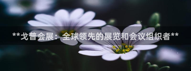 果博公司会员注册账号开户：**戈普会展：全球领先的展览和会议组织者**