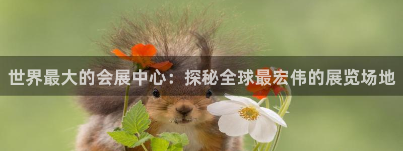 果博代理怎么注册：世界最大的会展中心：探秘全球最宏伟的展览场地