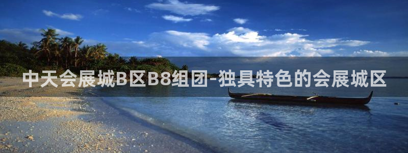 果博平台怎么下载?：中天会展城B区B8组