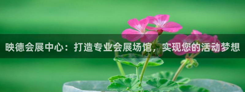 果博是怎么登录的：映德会展中心：打造专业会展场馆，