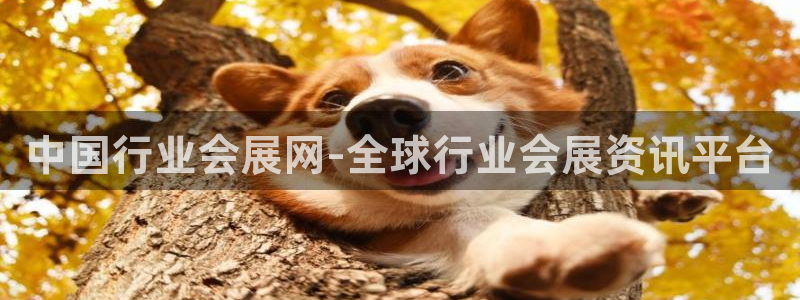 果博服务电话：中国行业会展网-全球行业会展资讯平台