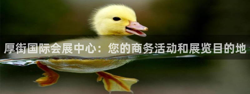 果博公司会员账号开户：厚街国际会展中心：
